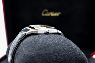 Cartier Santos Dumont Large Stainless Steel & 18k Grey Watch W2SA0028 | 2024 B&P