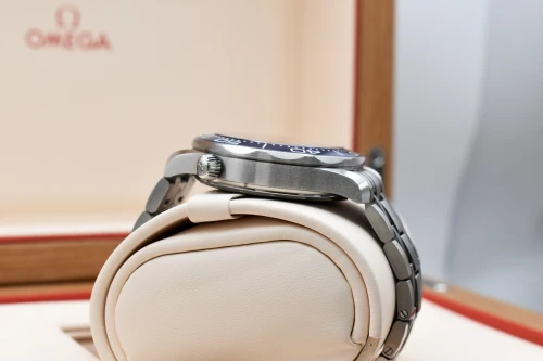Omega Seamaster Professional Blue Wave Stainless Steel Watch 210.30.42.20.03.001 | 2026