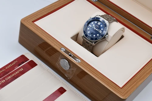 Omega Seamaster Professional Blue Wave Stainless Steel Watch 210.30.42.20.03.001 | 2026