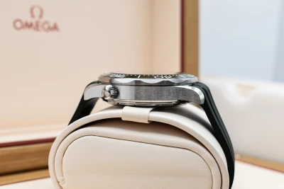 Omega Seamaster Professional Seaweed Green Watch 210.32.42.20.10.001 | 2026