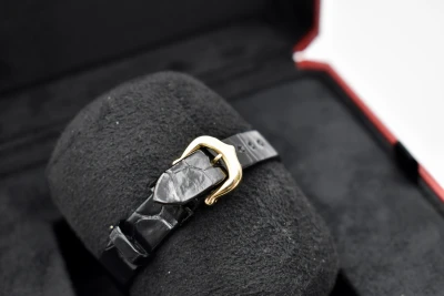Cartier 18k Yellow Gold Baignoire Ladies Watch WGBA0042 | 2026 Unworn