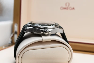 Omega Seamaster Professional Seaweed Green Watch 210.32.42.20.10.001 | 2026